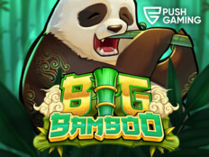 Go wild online casino31